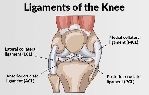 Causes & Prevention of Knee Ligament Injuries